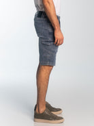 Arris (8007259717884)